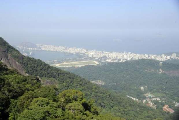 Estudo mostra regeneração de trechos da Mata Atlântica