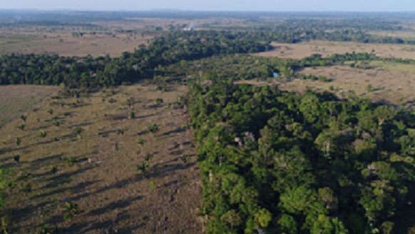 Cadastro Ambiental será obrigatório a partir de 01/01/2019