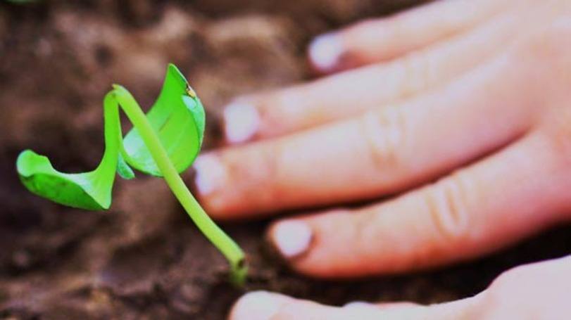 Mercado de consultoria ambiental movimenta US$ 27,4 bilhões