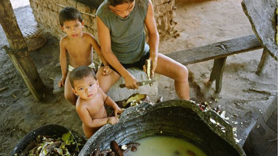 Qual o papel das crianças e jovens na manutenção das fontes de água, energia e alimentos?