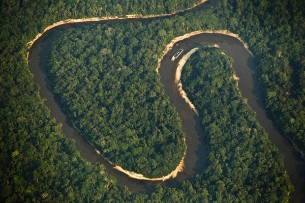 Entenda o Marco da Biodiversidade sancionado por Dilma nesta quarta